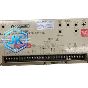 Woodward 9905-031