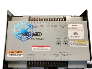 Woodward 9900-061