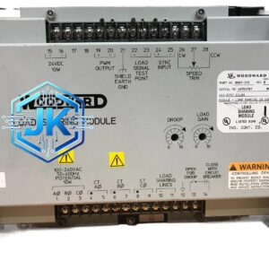 Woodward 9905-699