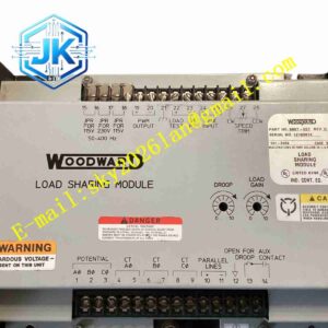 Woodward 9905-998