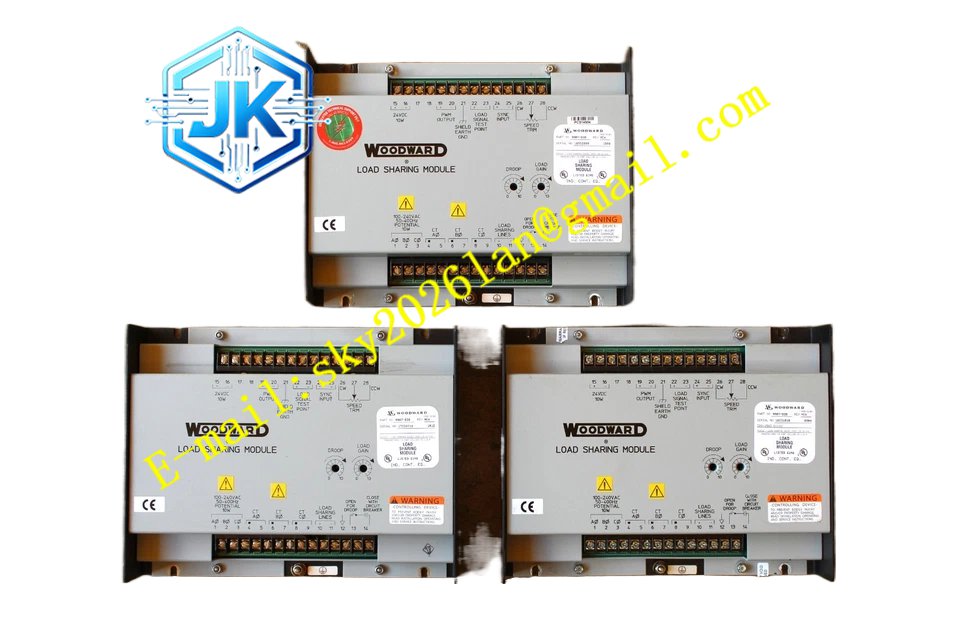 Woodward 9907-038