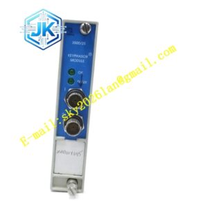 Bently IPSYS01