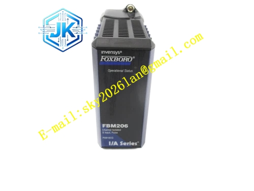 Foxboro FBM206