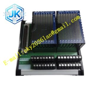 Foxboro FBM203RH916XJ