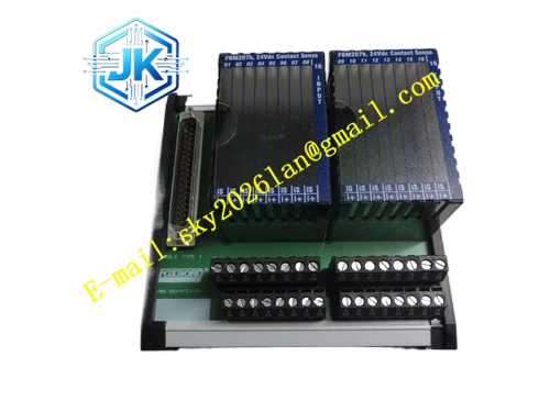 Foxboro FBM203RH916XJ