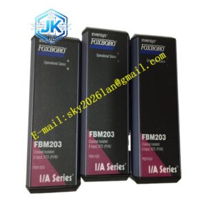Foxboro FBM203