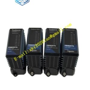 Foxboro FBM203RH916DC
