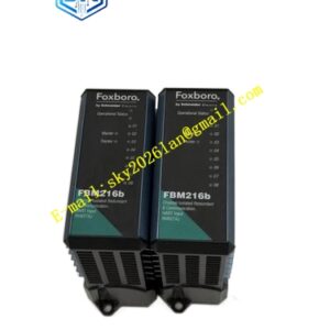 Foxboro FBM216B