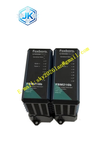Foxboro FBM216B
