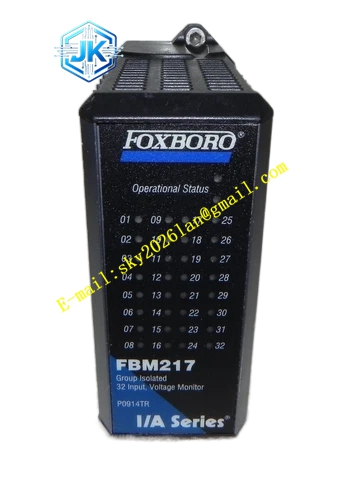 Foxboro FBM217