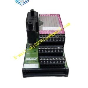 Foxboro FBM20 P0500ST