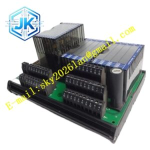 Foxboro P0916VM