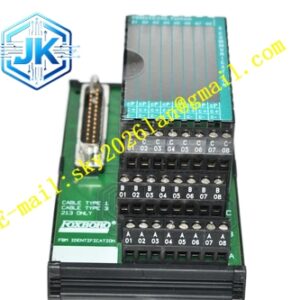 Foxboro FBM246