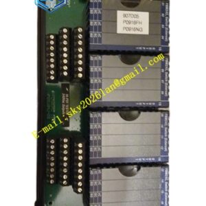 Foxboro P0923NG