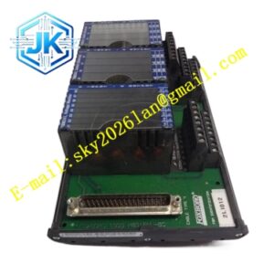 Foxboro P0951CJ-C