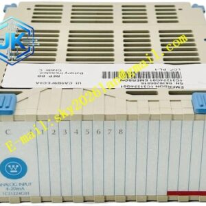 Emerson 1C31224G01