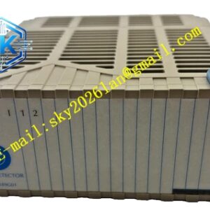 Emerson 1C31189G01