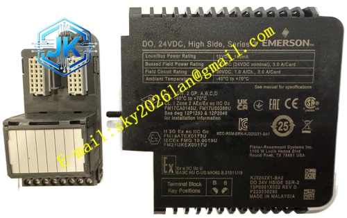 Emerson VE4003S1B2 12P0681X072