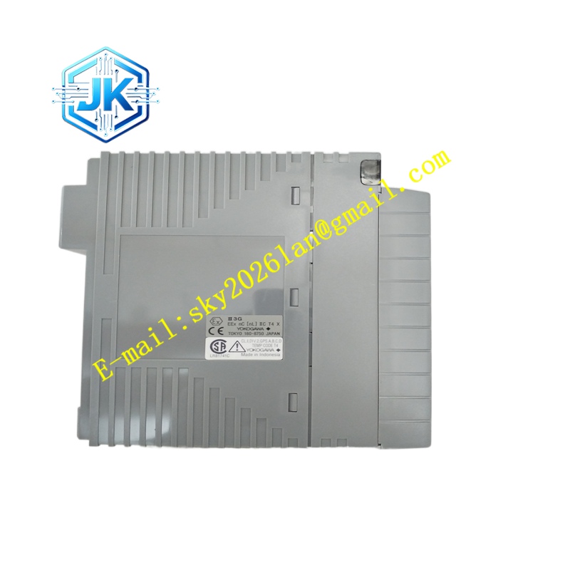 Yokogawa AAI141 - 图片 2