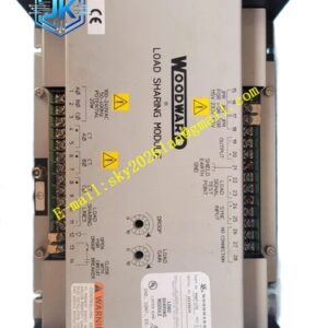Woodward 3522-1004