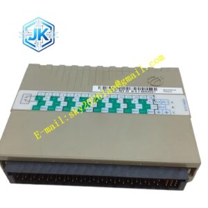 Emerson 1C31181G01