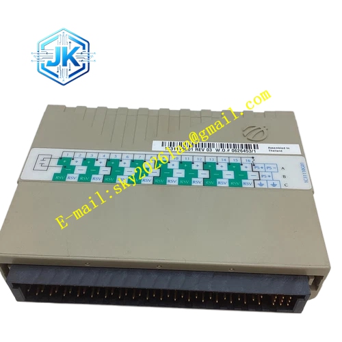 Emerson 1C31181G01