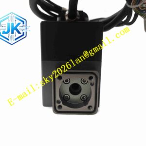 Domino L015015