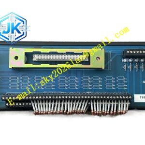ICS Triplex T8901‑01