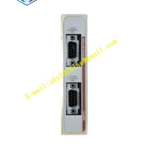 Emerson 1C31169G02