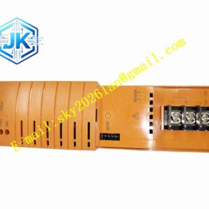 YOKOGAWA SPW481 安全系统电源模块