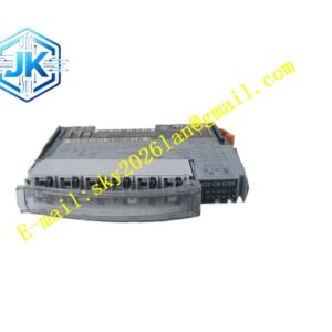 B&R X20CM0289
